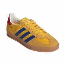 Gazelle Indoor Colombia