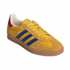 Gazelle Indoor Colombia