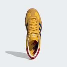 Gazelle Indoor Colombia